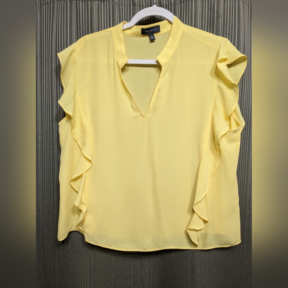 Women's Petite XL The Limited Blouse Shirts Top